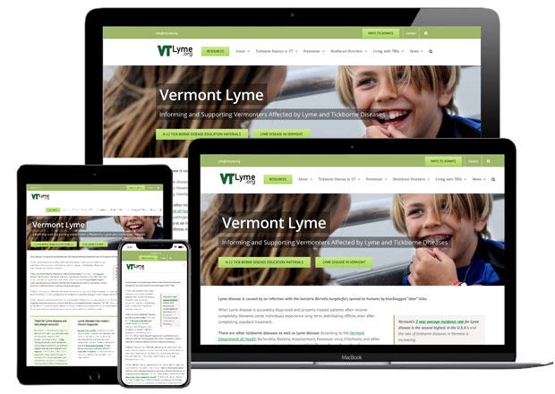 Vermont Lyme Website